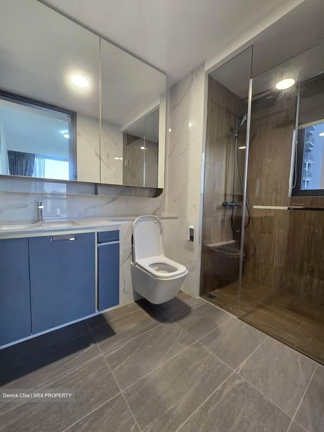 Amo Residence (D20), Apartment #582730491